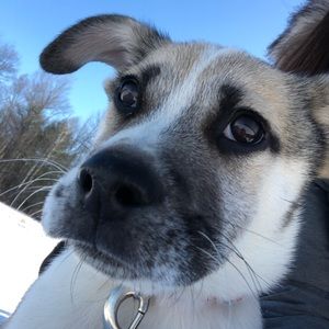 Meet your Posher, Sophia